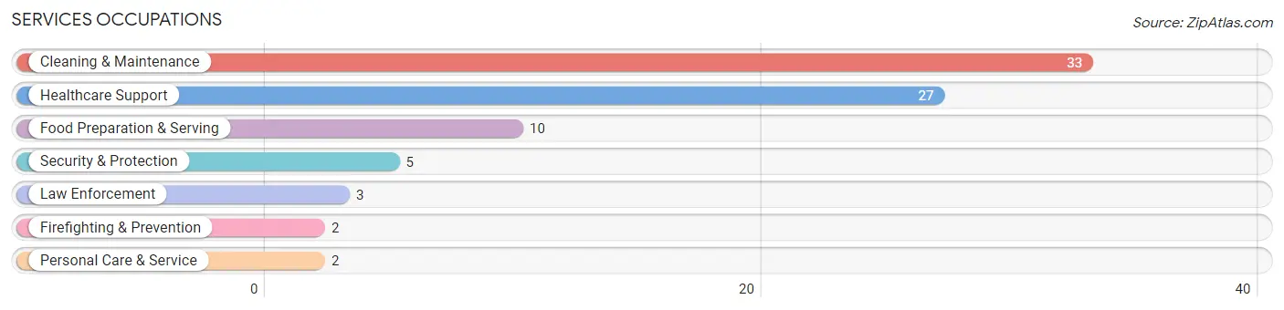 Services Occupations in Zip Code 18854