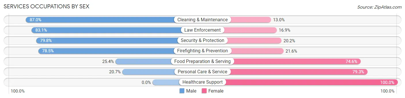 Services Occupations by Sex in Zip Code 18901