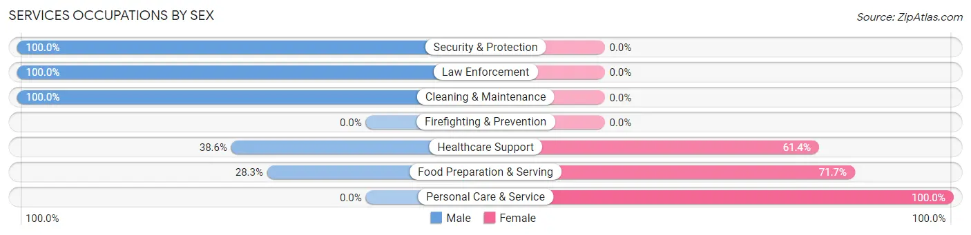 Services Occupations by Sex in Zip Code 18925