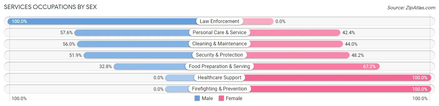 Services Occupations by Sex in Zip Code 18938