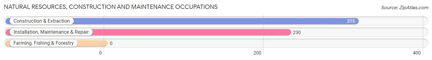 Natural Resources, Construction and Maintenance Occupations in Zip Code 18940