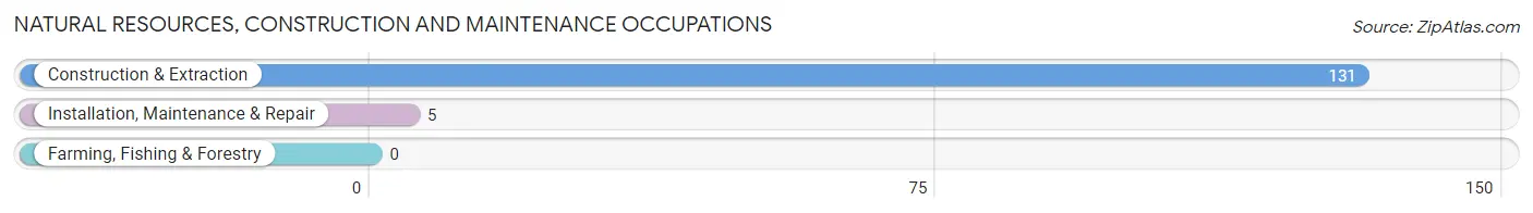 Natural Resources, Construction and Maintenance Occupations in Zip Code 18942