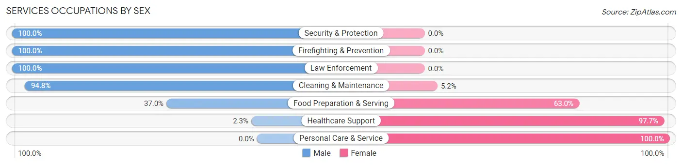 Services Occupations by Sex in Zip Code 18947