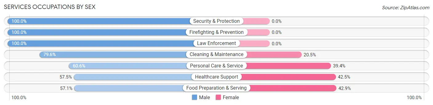 Services Occupations by Sex in Zip Code 18954
