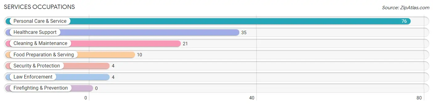 Services Occupations in Zip Code 18955