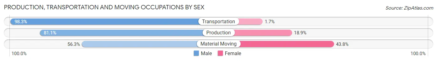 Production, Transportation and Moving Occupations by Sex in Zip Code 18960