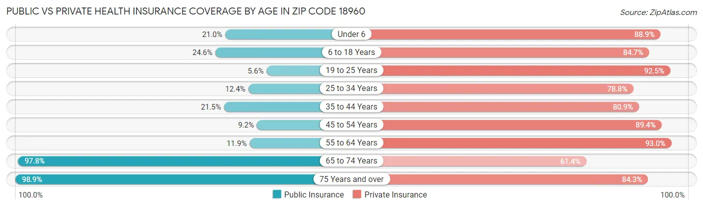 Public vs Private Health Insurance Coverage by Age in Zip Code 18960
