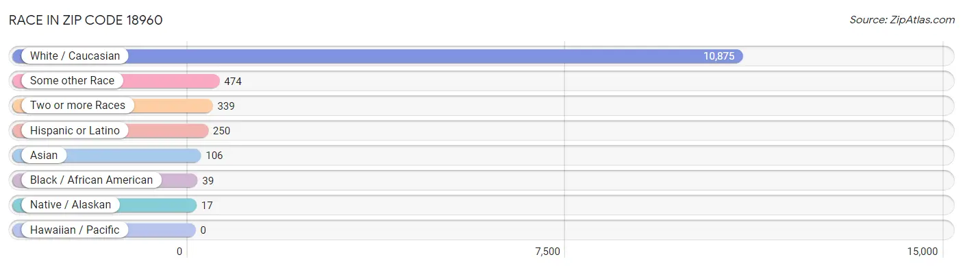 Race in Zip Code 18960