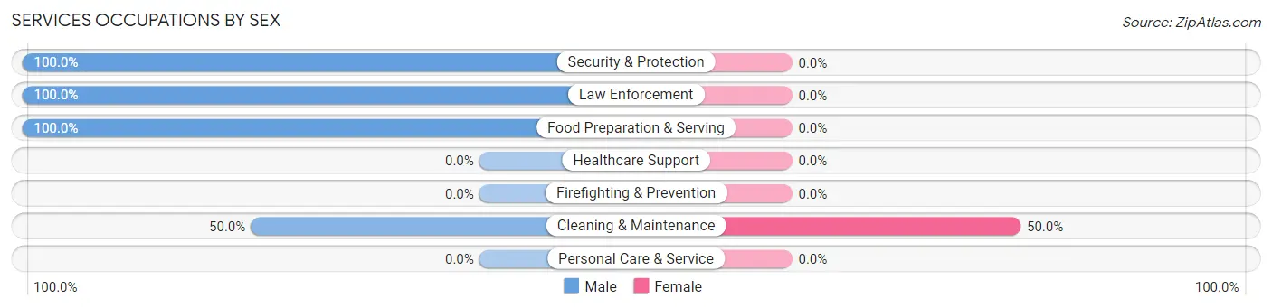 Services Occupations by Sex in Zip Code 18962