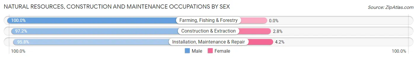 Natural Resources, Construction and Maintenance Occupations by Sex in Zip Code 18964