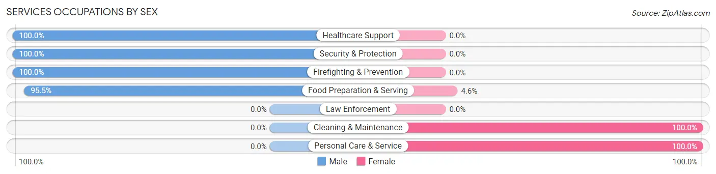 Services Occupations by Sex in Zip Code 18970