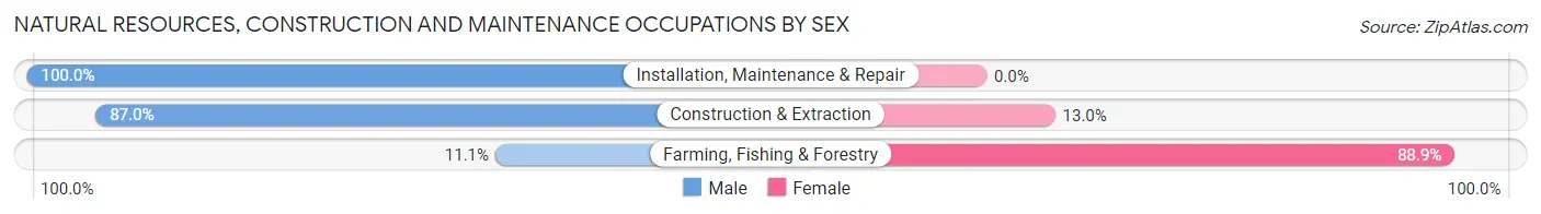 Natural Resources, Construction and Maintenance Occupations by Sex in Zip Code 19002