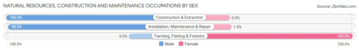 Natural Resources, Construction and Maintenance Occupations by Sex in Zip Code 19006