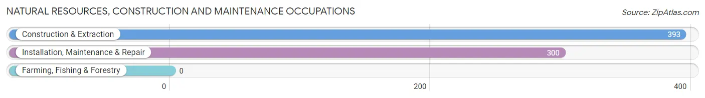 Natural Resources, Construction and Maintenance Occupations in Zip Code 19008