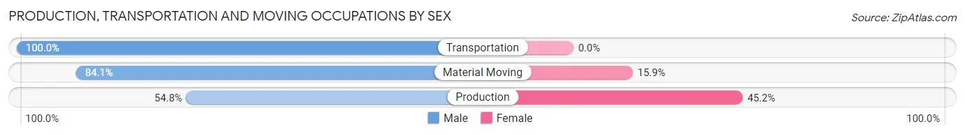 Production, Transportation and Moving Occupations by Sex in Zip Code 19012