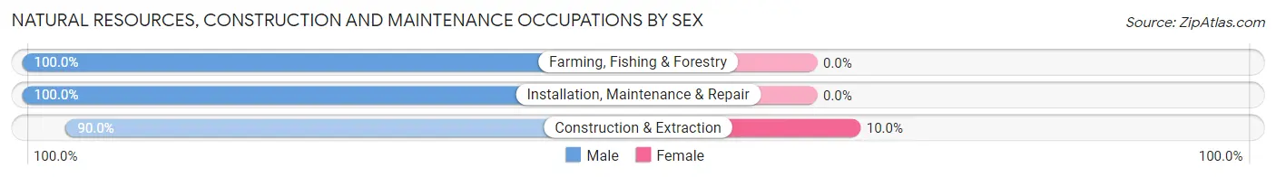 Natural Resources, Construction and Maintenance Occupations by Sex in Zip Code 19020