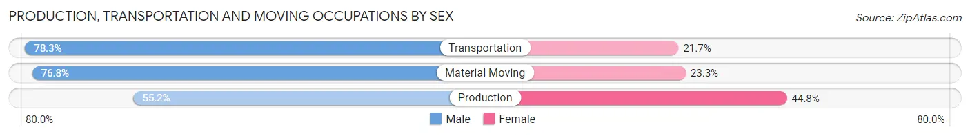 Production, Transportation and Moving Occupations by Sex in Zip Code 19020