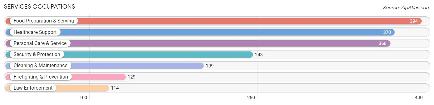 Services Occupations in Zip Code 19027