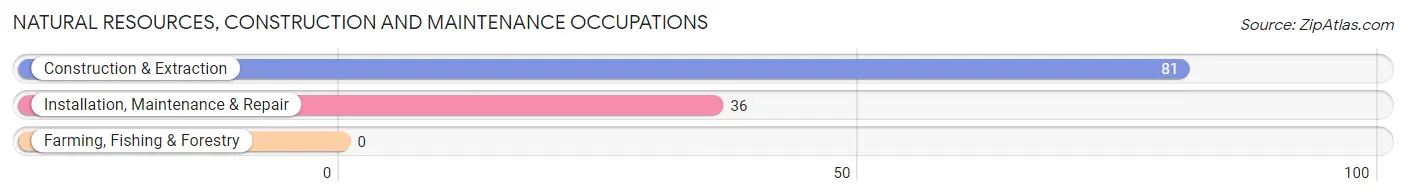 Natural Resources, Construction and Maintenance Occupations in Zip Code 19031