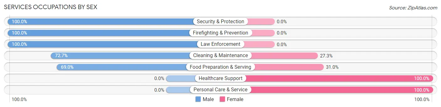 Services Occupations by Sex in Zip Code 19031