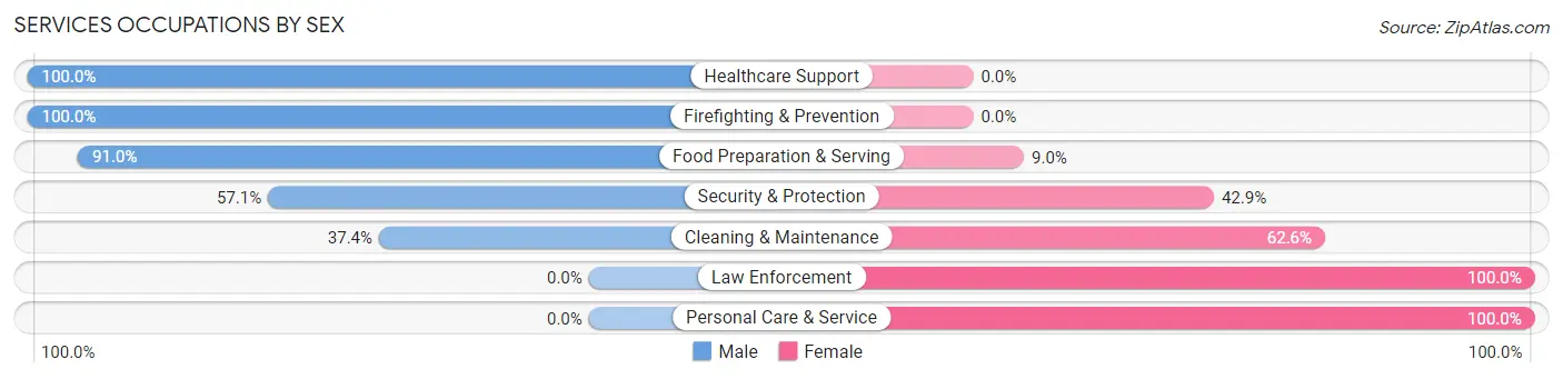 Services Occupations by Sex in Zip Code 19034