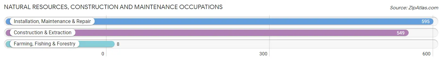 Natural Resources, Construction and Maintenance Occupations in Zip Code 19040