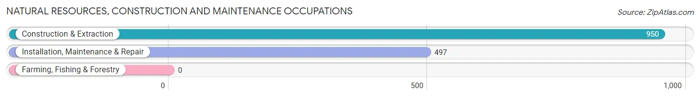 Natural Resources, Construction and Maintenance Occupations in Zip Code 19053