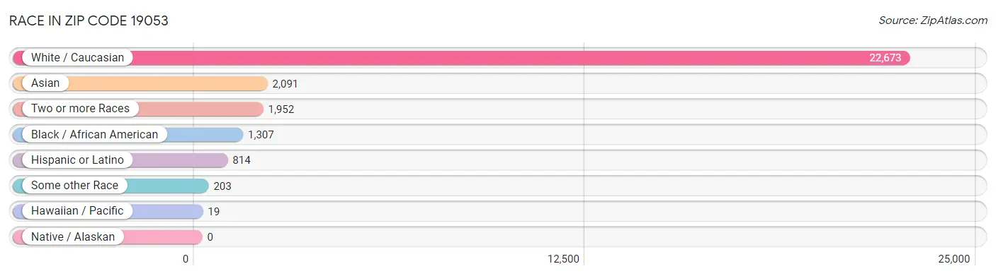 Race in Zip Code 19053