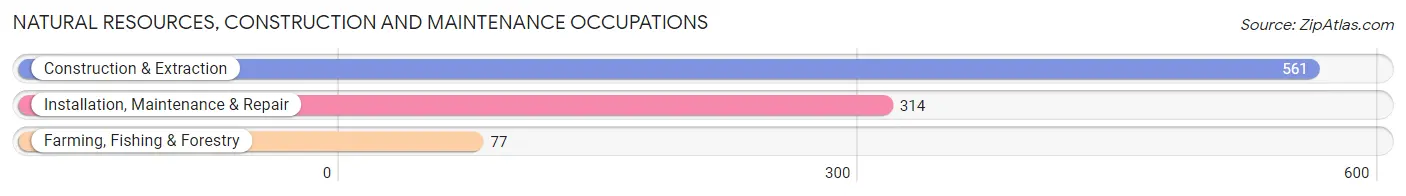 Natural Resources, Construction and Maintenance Occupations in Zip Code 19055