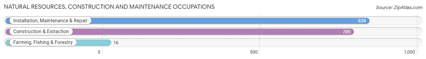 Natural Resources, Construction and Maintenance Occupations in Zip Code 19067