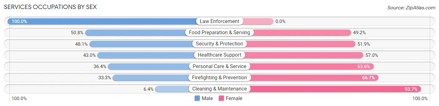 Services Occupations by Sex in Zip Code 19070