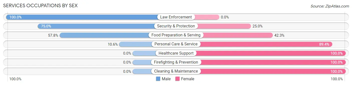 Services Occupations by Sex in Zip Code 19075
