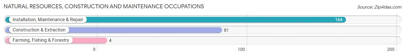 Natural Resources, Construction and Maintenance Occupations in Zip Code 19081