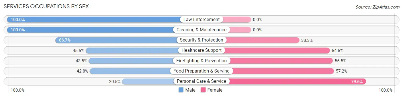 Services Occupations by Sex in Zip Code 19107