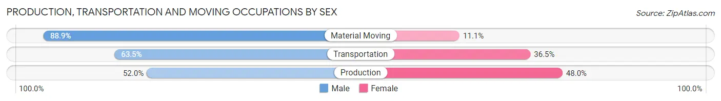 Production, Transportation and Moving Occupations by Sex in Zip Code 19121