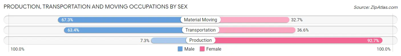 Production, Transportation and Moving Occupations by Sex in Zip Code 19129