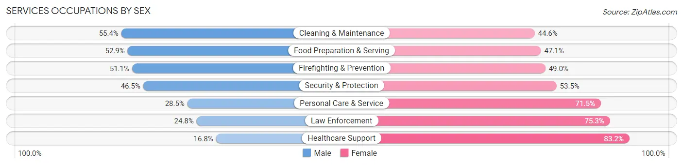 Services Occupations by Sex in Zip Code 19131