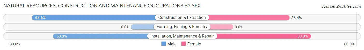 Natural Resources, Construction and Maintenance Occupations by Sex in Zip Code 19132
