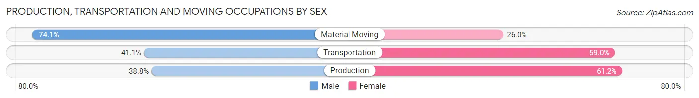 Production, Transportation and Moving Occupations by Sex in Zip Code 19134