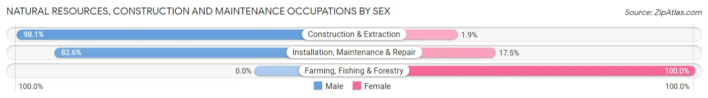 Natural Resources, Construction and Maintenance Occupations by Sex in Zip Code 19136
