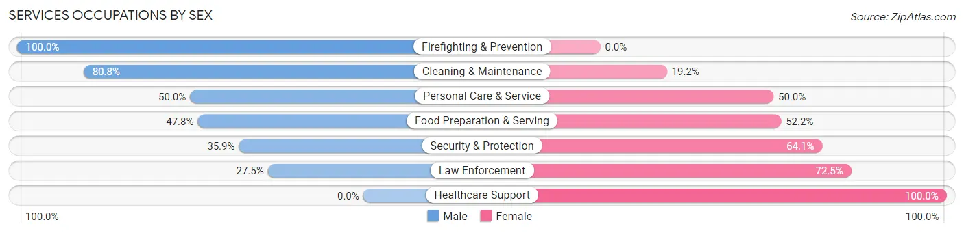 Services Occupations by Sex in Zip Code 19137