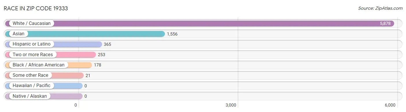 Race in Zip Code 19333