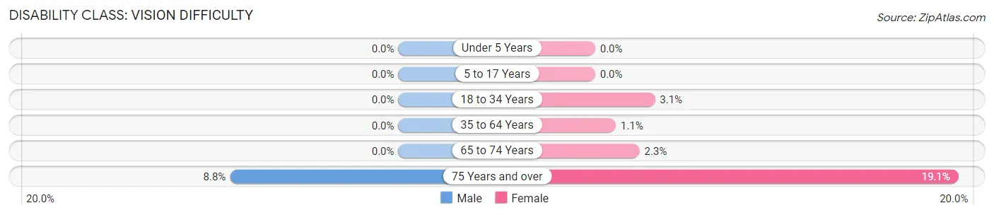 Disability in Zip Code 19333: <span>Vision Difficulty</span>