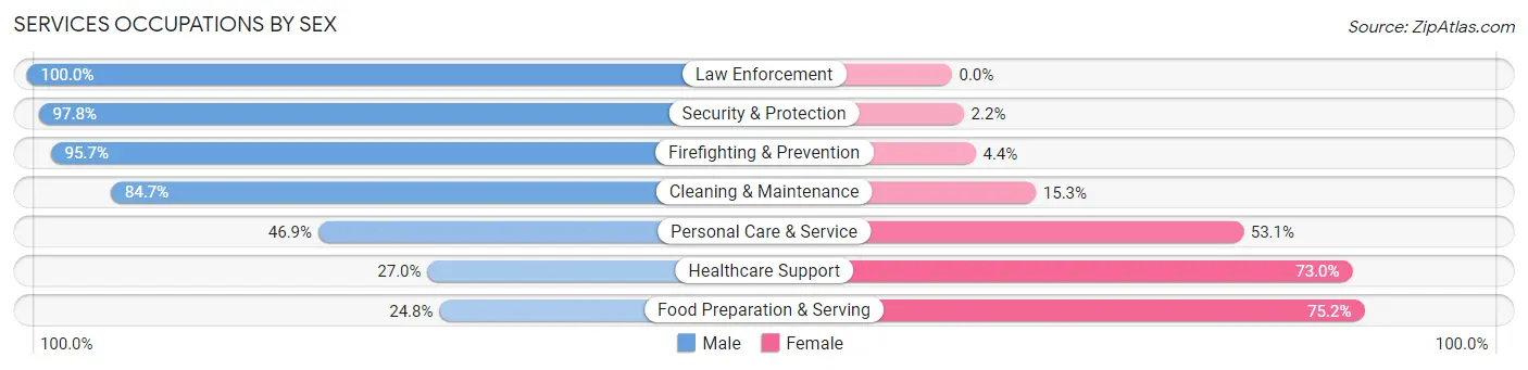 Services Occupations by Sex in Zip Code 19341