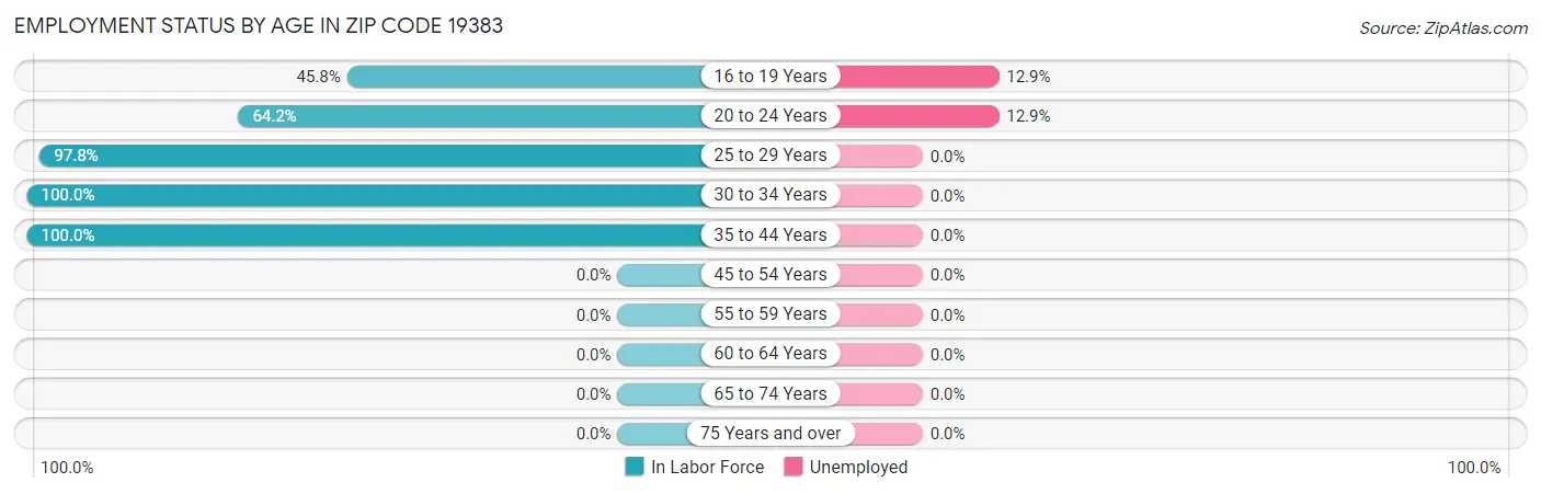 Employment Status by Age in Zip Code 19383