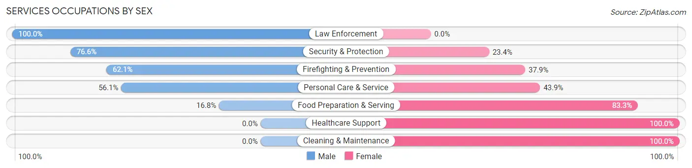 Services Occupations by Sex in Zip Code 19383