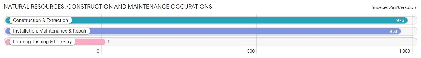 Natural Resources, Construction and Maintenance Occupations in Zip Code 19401