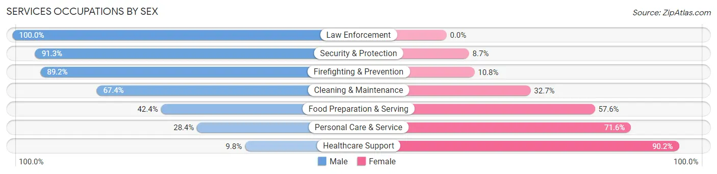 Services Occupations by Sex in Zip Code 19422