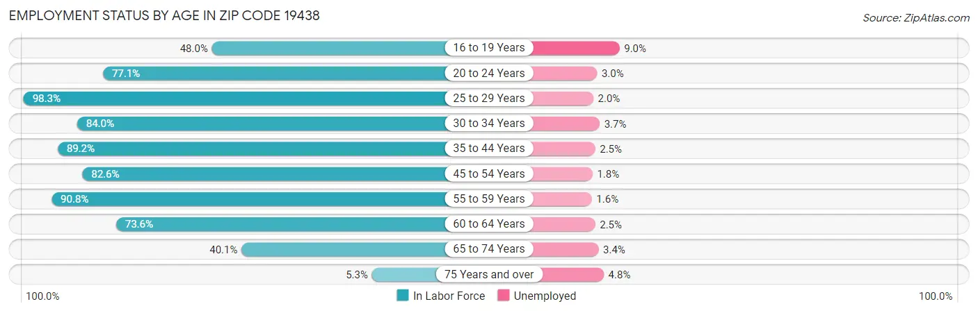 Employment Status by Age in Zip Code 19438
