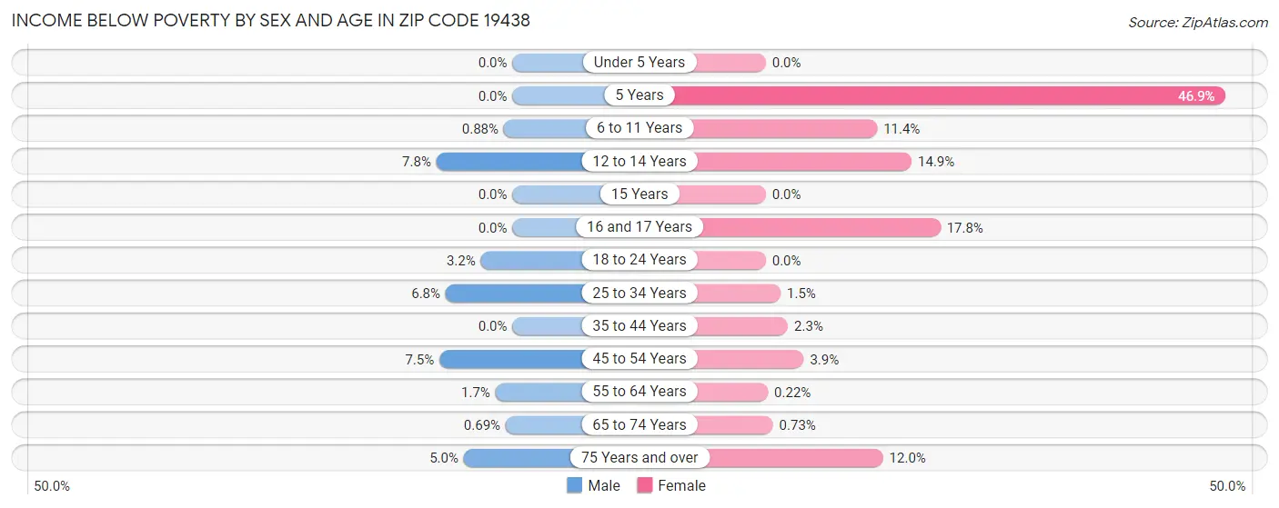 Income Below Poverty by Sex and Age in Zip Code 19438